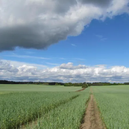 Ferienbungalows Am Wolziger Prázdninový dům *