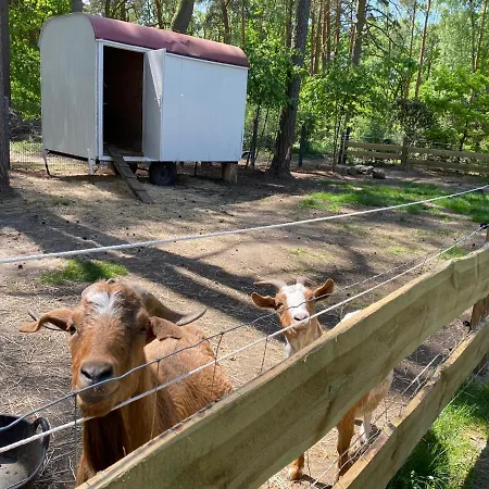 Ferienbungalows Am Wolziger Prázdninový dům *