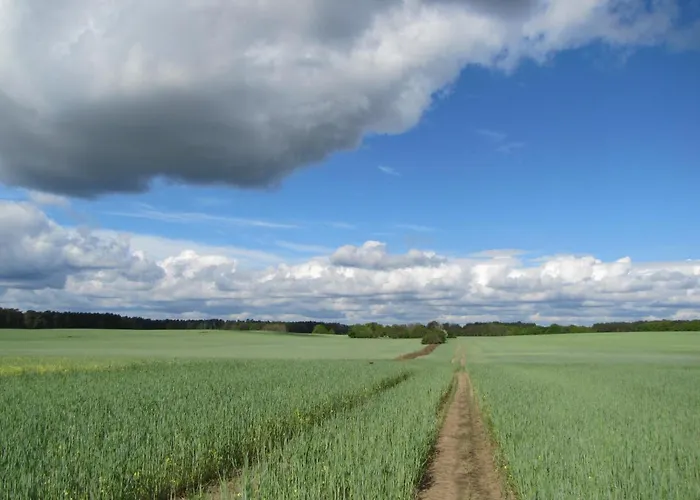 Ferienbungalows Am Wolziger Holiday home *