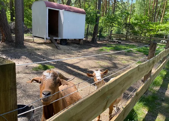 Ferienbungalows Am Wolziger Semesterbostad *